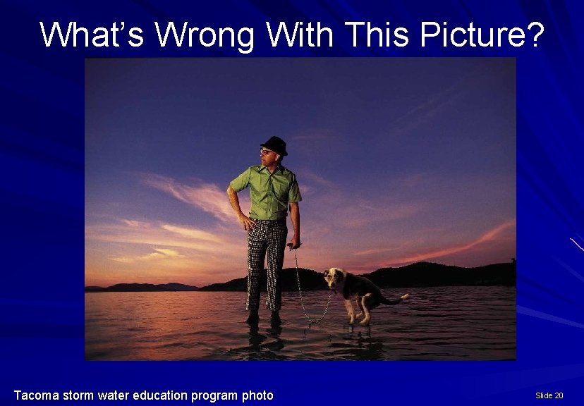 What’s Wrong With This Picture? Tacoma storm water education program photo Slide 20 