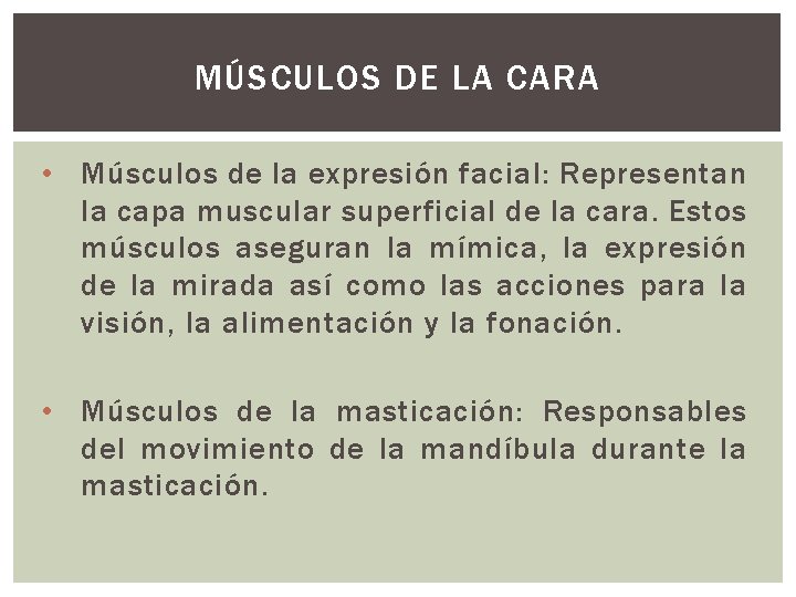 MÚSCULOS DE LA CARA • Músculos de la expresión facial: Representan la capa muscular