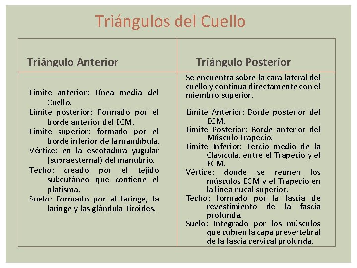 Triángulos del Cuello Triángulo Anterior Límite anterior: Línea media del Cuello. Límite posterior: Formado