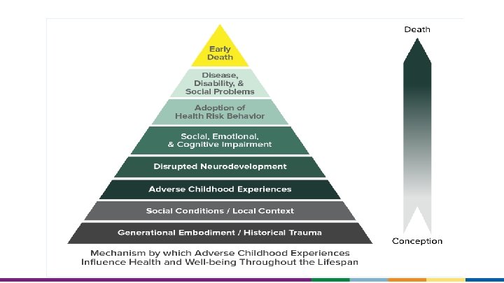 Mechanism by which Adverse Childhood Experiences Influence Health and Well-being Throughout the Lifespan 