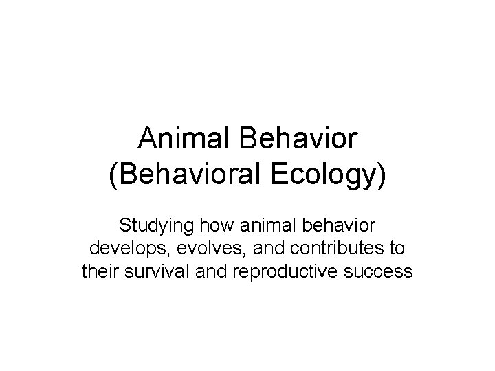 Animal Behavior (Behavioral Ecology) Studying how animal behavior develops, evolves, and contributes to their