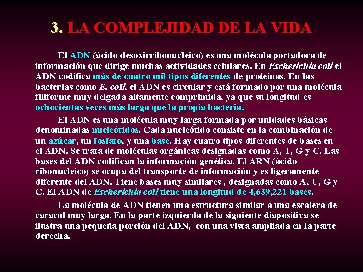 3. LA COMPLEJIDAD DE LA VIDA El ADN (ácido desoxirribonucleico) es una molécula portadora