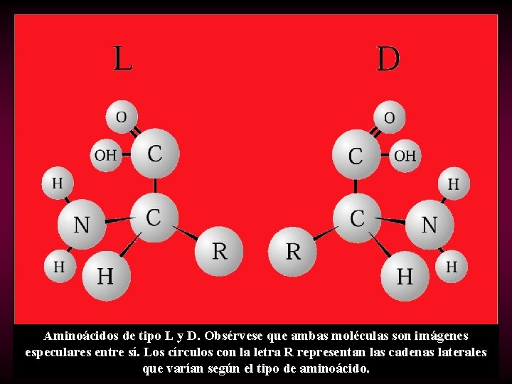 Aminoácidos de tipo L y D. Obsérvese que ambas moléculas son imágenes especulares entre