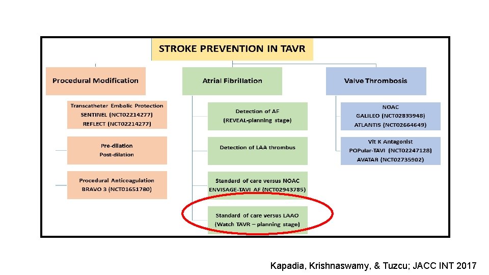 Kapadia, Krishnaswamy, & Tuzcu; JACC INT 2017 