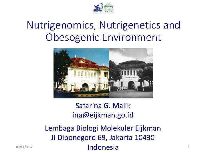 Nutrigenomics, Nutrigenetics and Obesogenic Environment Safarina G. Malik ina@eijkman. go. id 08/11/2017 Lembaga Biologi