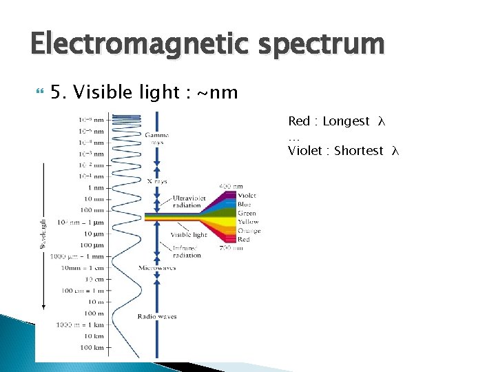 Electromagnetic spectrum 5. Visible light : ~nm Red : Longest λ … Violet :