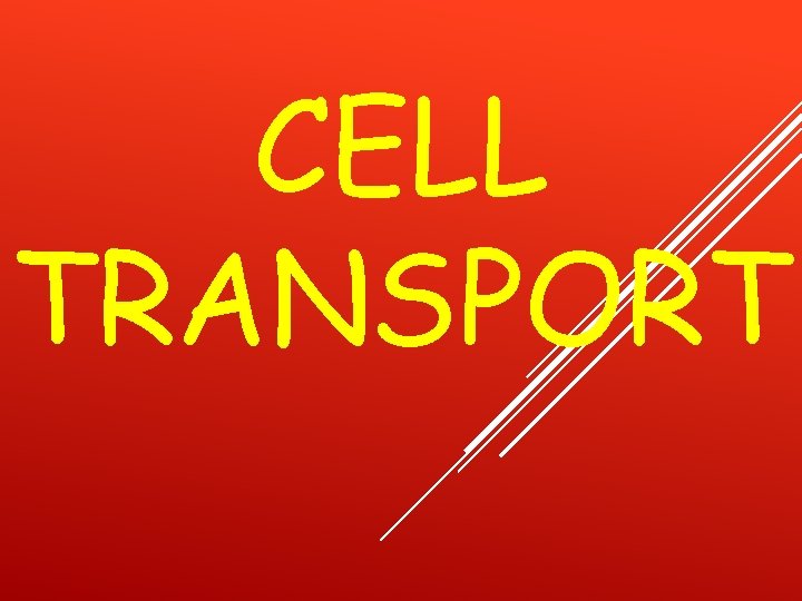 CELL TRANSPORT 