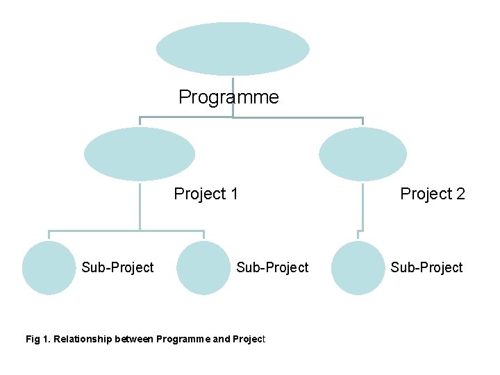 Programme Project 1 Sub-Project Fig 1. Relationship between Programme and Project 2 Sub-Project 