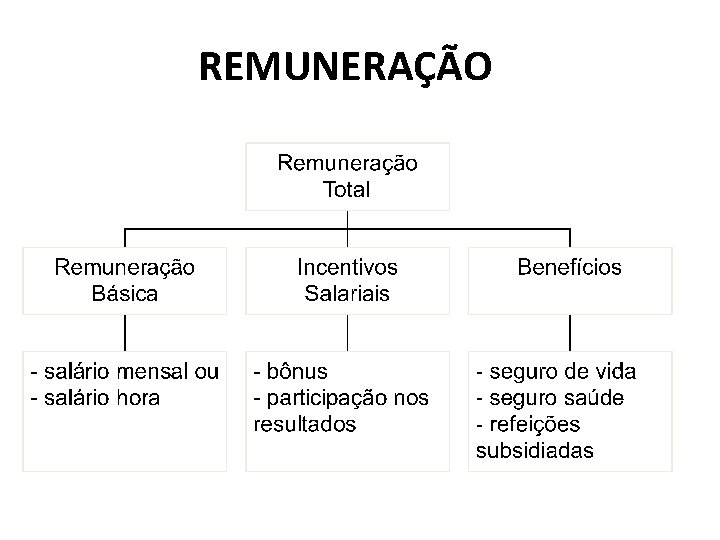 REMUNERAÇÃO 