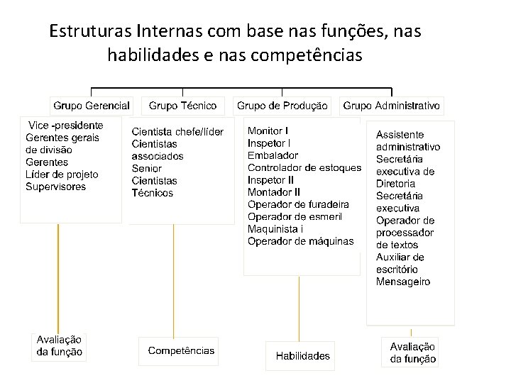 Estruturas Internas com base nas funções, nas habilidades e nas competências 