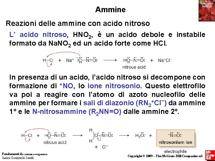 Ammine Reazioni delle ammine con acido nitroso L’ acido nitroso, HNO 2, è un