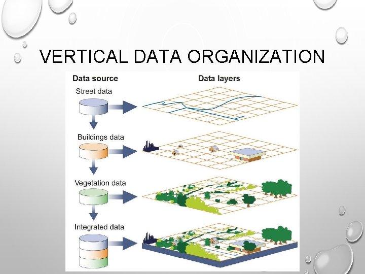 VERTICAL DATA ORGANIZATION 