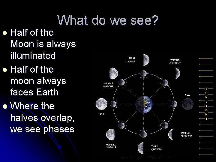 What do we see? Half of the Moon is always illuminated l Half of