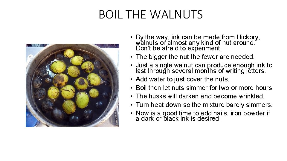 BOIL THE WALNUTS • By the way, ink can be made from Hickory, walnuts BOIL THE WALNUTS • By the way, ink can be made from Hickory, walnuts