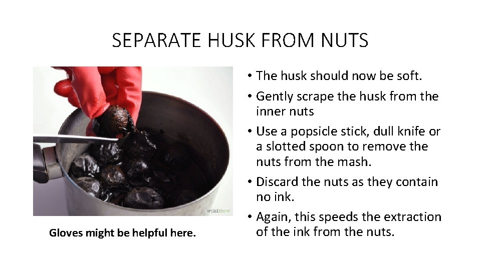 SEPARATE HUSK FROM NUTS Gloves might be helpful here. • The husk should now SEPARATE HUSK FROM NUTS Gloves might be helpful here. • The husk should now