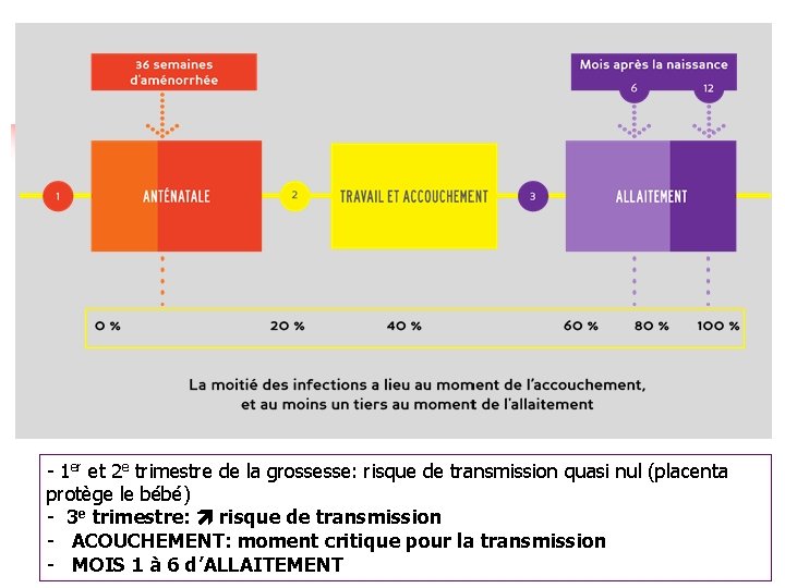 - 1 er et 2 e trimestre de la grossesse: risque de transmission quasi