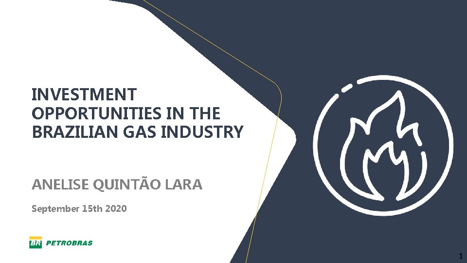 INVESTMENT OPPORTUNITIES IN THE BRAZILIAN GAS INDUSTRY ANELISE QUINTÃO LARA September 15 th 2020