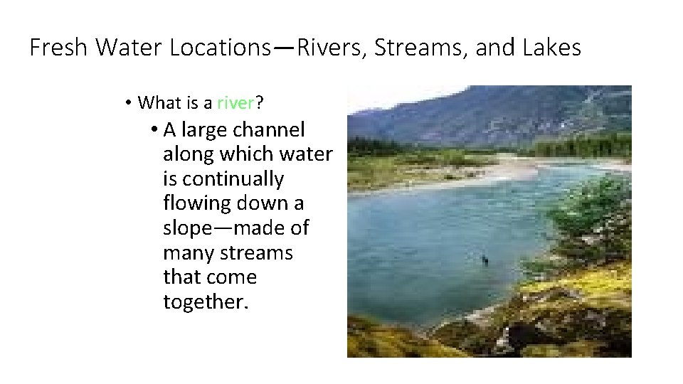 Fresh Water Locations—Rivers, Streams, and Lakes • What is a river? • A large