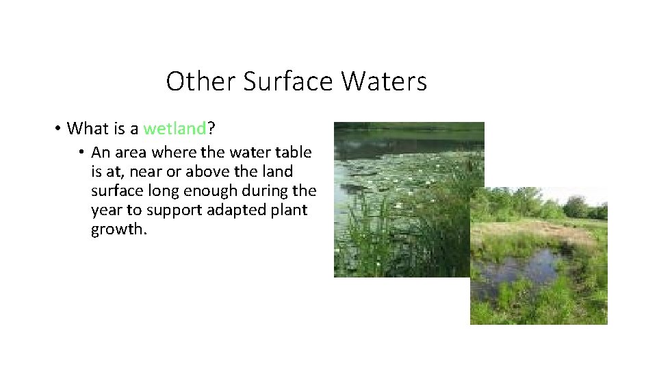 Other Surface Waters • What is a wetland? • An area where the water