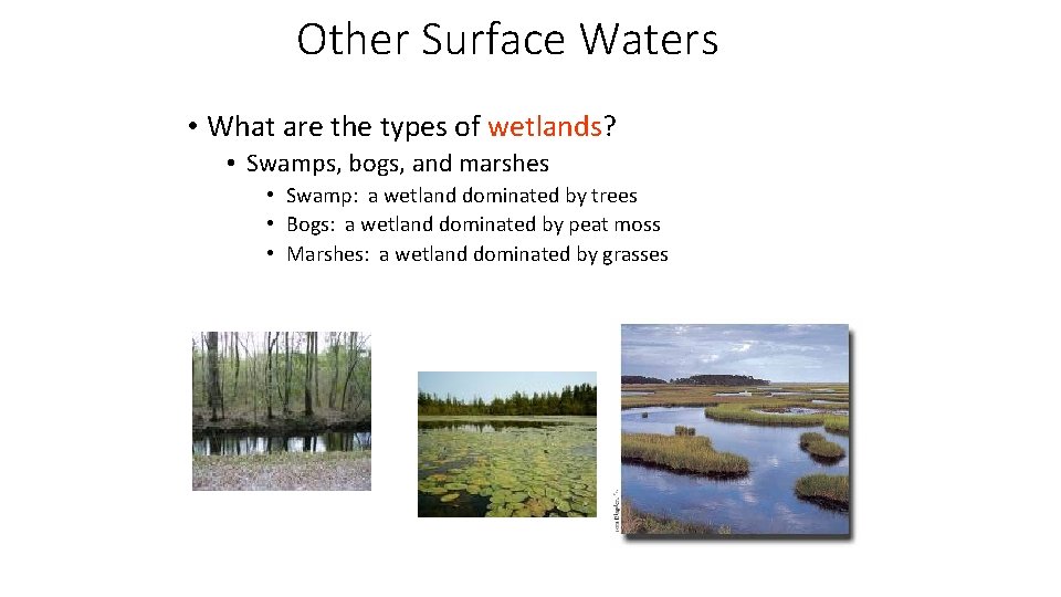 Other Surface Waters • What are the types of wetlands? • Swamps, bogs, and