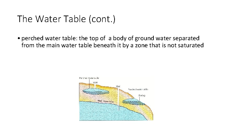 The Water Table (cont. ) • perched water table: the top of a body