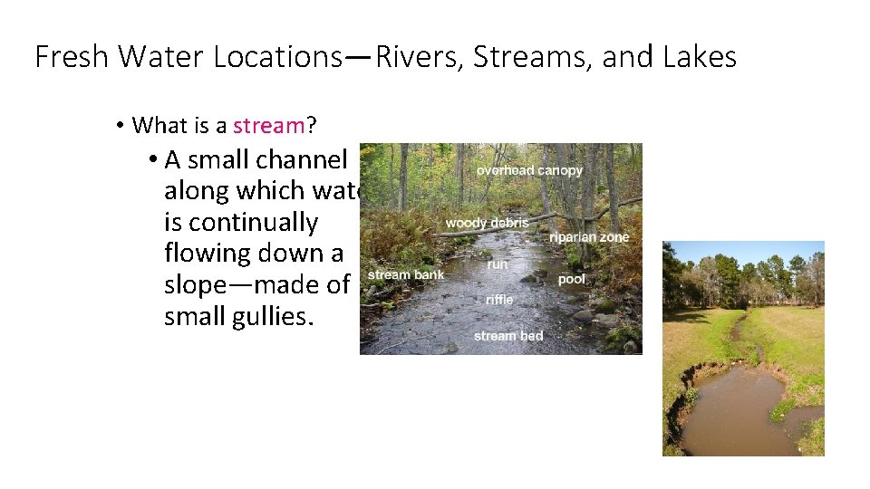 Fresh Water Locations—Rivers, Streams, and Lakes • What is a stream? • A small