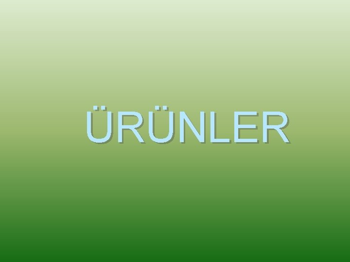 ÜRÜNLER 