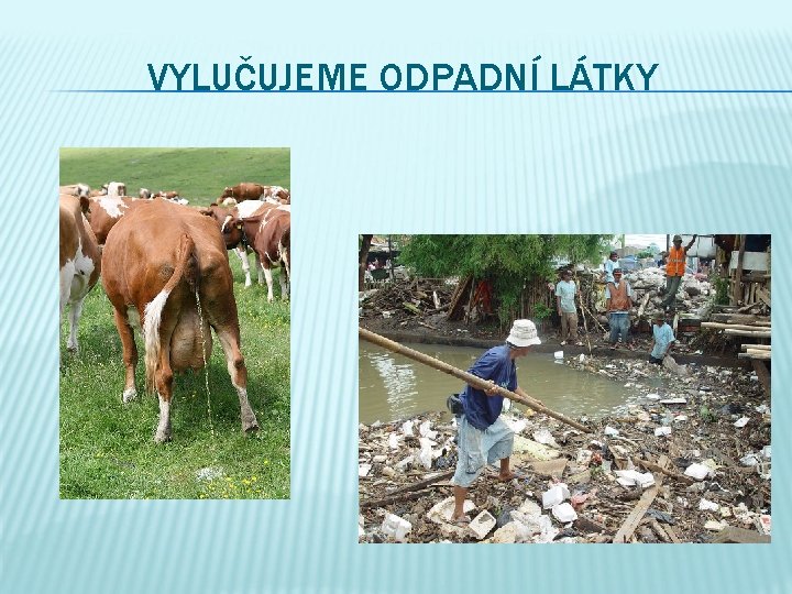 VYLUČUJEME ODPADNÍ LÁTKY 