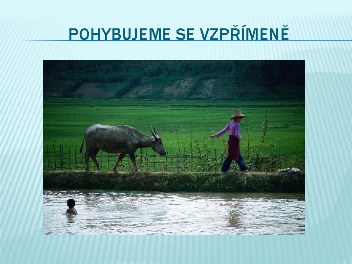 POHYBUJEME SE VZPŘÍMENĚ 