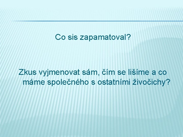 Co sis zapamatoval? Zkus vyjmenovat sám, čím se lišíme a co máme společného s