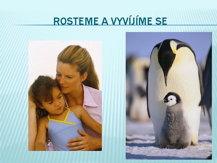 ROSTEME A VYVÍJÍME SE 