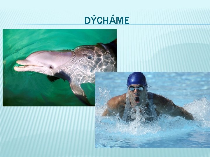 DÝCHÁME 