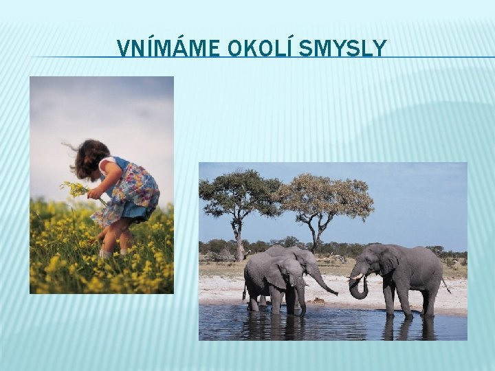 VNÍMÁME OKOLÍ SMYSLY 