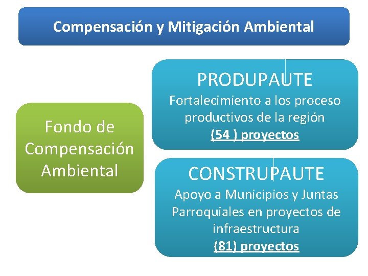 Compensación y Mitigación Ambiental PRODUPAUTE Fondo de Compensación Ambiental Fortalecimiento a los proceso productivos