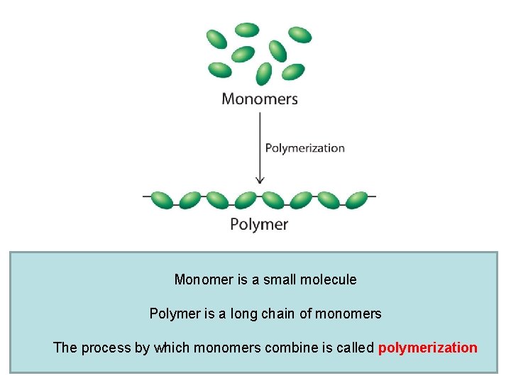 Monomer is a small molecule Polymer is a long chain of monomers The process