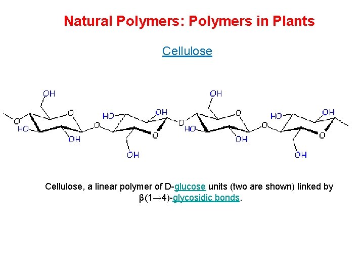 Natural Polymers: Polymers in Plants Cellulose, a linear polymer of D-glucose units (two are