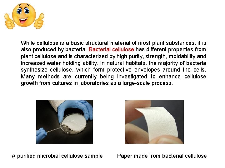 While cellulose is a basic structural material of most plant substances, it is also