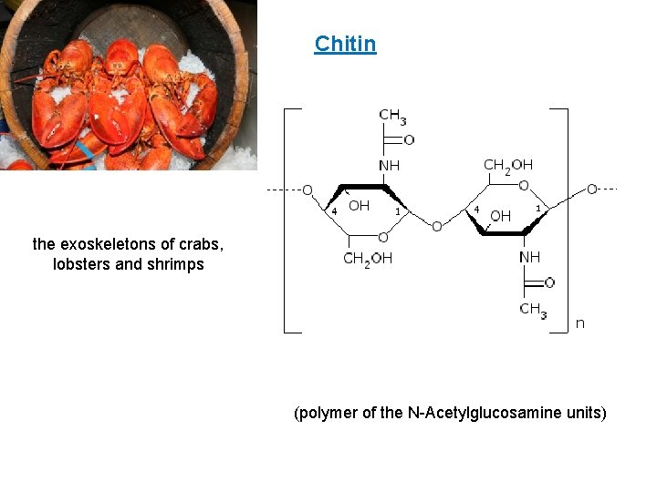 Chitin the exoskeletons of crabs, lobsters and shrimps (polymer of the N-Acetylglucosamine units) 