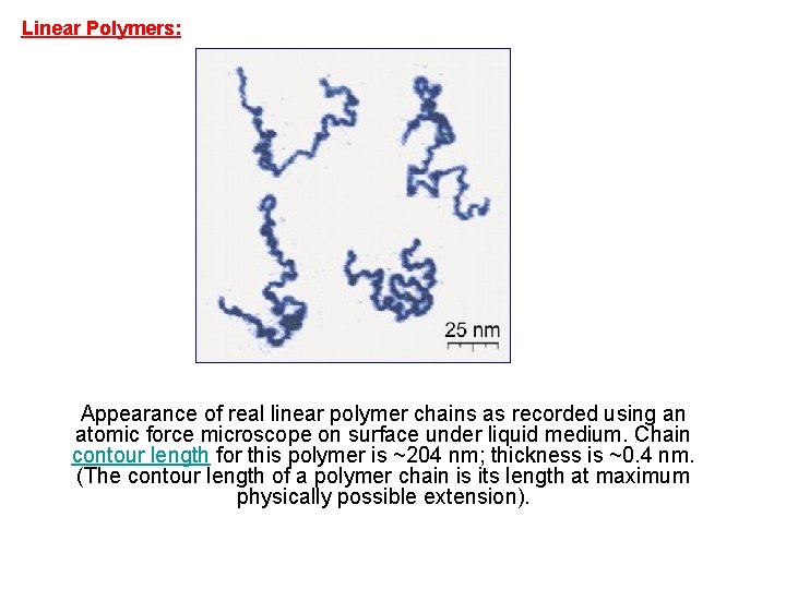 Linear Polymers: Appearance of real linear polymer chains as recorded using an atomic force