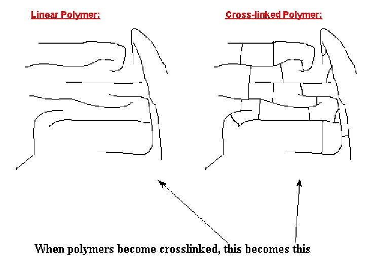 Linear Polymer: Cross-linked Polymer: 