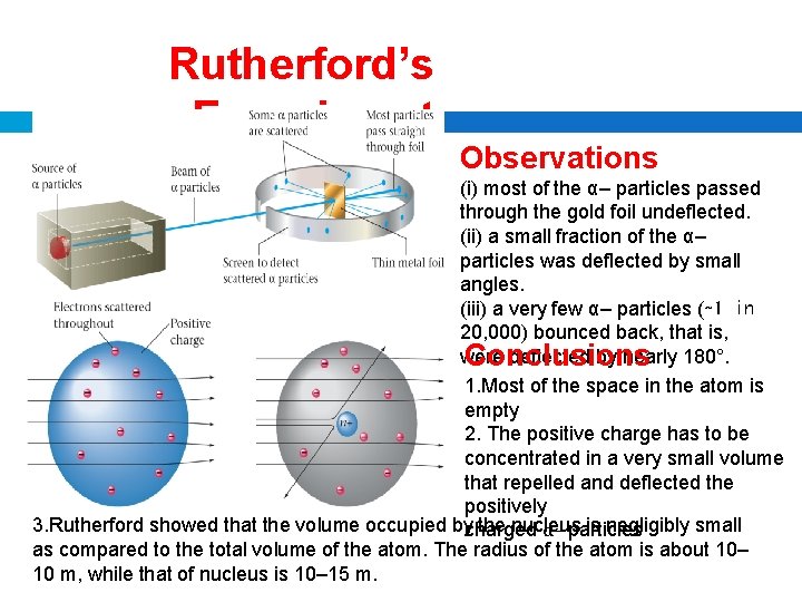 Rutherford’s Experiment Observations (i) most of the α– particles passed through the gold foil