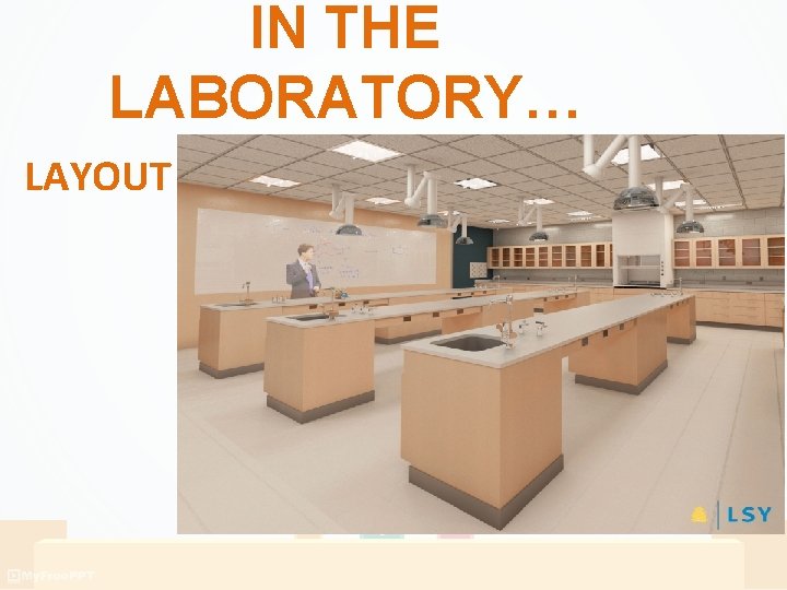 IN THE LABORATORY… LAYOUT IN THE LABORATORY… LAYOUT