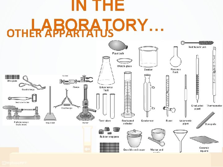 IN THE LABORATORY… OTHER APPARTATUS IN THE LABORATORY… OTHER APPARTATUS
