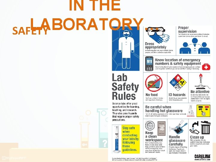 IN THE LABORATORY… SAFETY IN THE LABORATORY… SAFETY