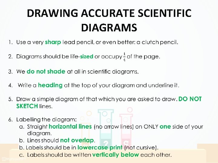 DRAWING ACCURATE SCIENTIFIC DIAGRAMS DRAWING ACCURATE SCIENTIFIC DIAGRAMS