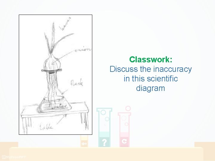 Classwork: Discuss the inaccuracy in this scientific diagram Classwork: Discuss the inaccuracy in this scientific diagram