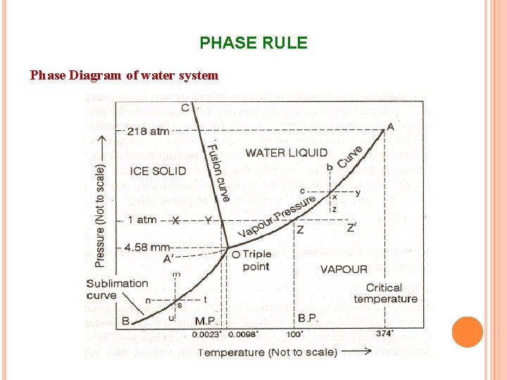 PHASE RULE Phase Diagram of water system 