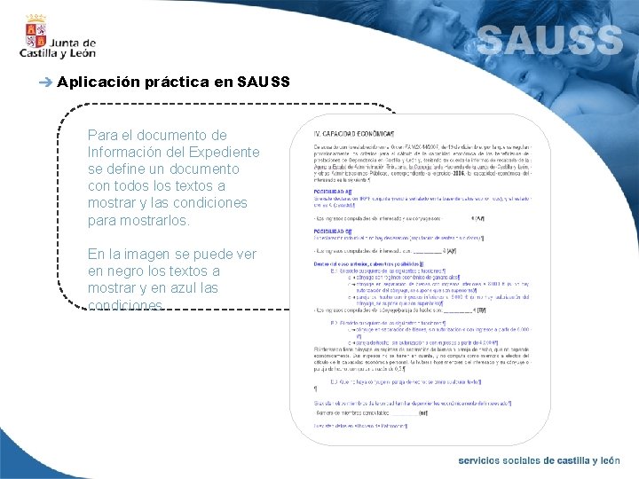 Aplicación práctica en SAUSS Para el documento de Información del Expediente se define un
