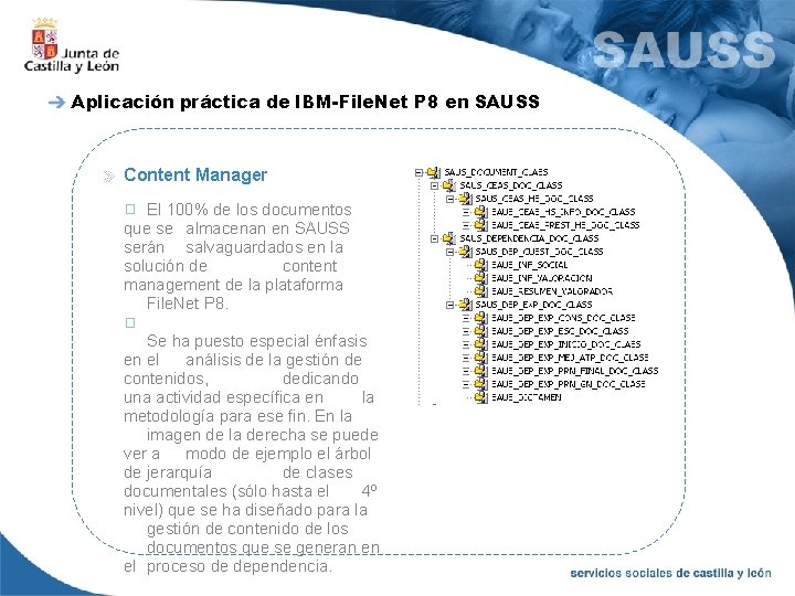 Aplicación práctica de IBM-File. Net P 8 en SAUSS Content Manager El 100% de