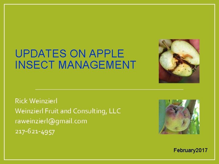 UPDATES ON APPLE INSECT MANAGEMENT Rick Weinzierl Fruit and Consulting, LLC raweinzierl@gmail. com 217 UPDATES ON APPLE INSECT MANAGEMENT Rick Weinzierl Fruit and Consulting, LLC raweinzierl@gmail. com 217